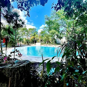 tequila-factory-cancun-hotel.quintano-roohotels.com/