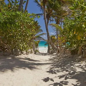 https://hotel-dos-ceibas-eco-retreat.quintano-roohotels.com